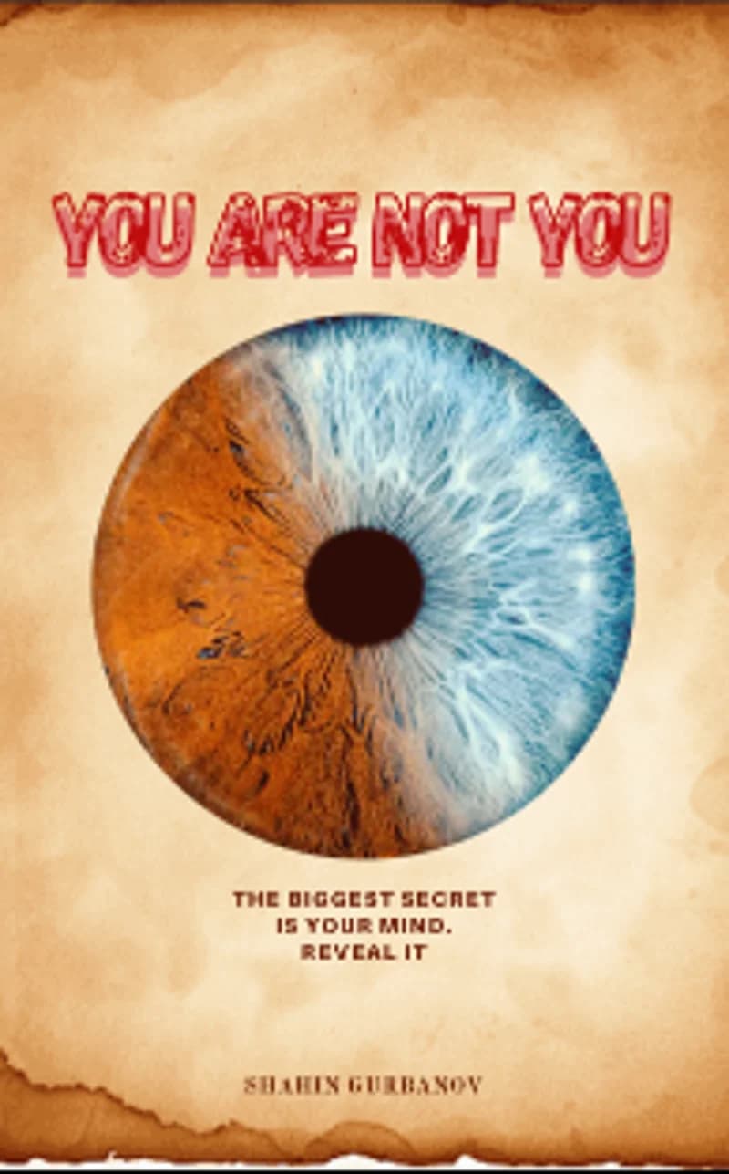 You Are Not You, digital book by Shahin Gurbanov